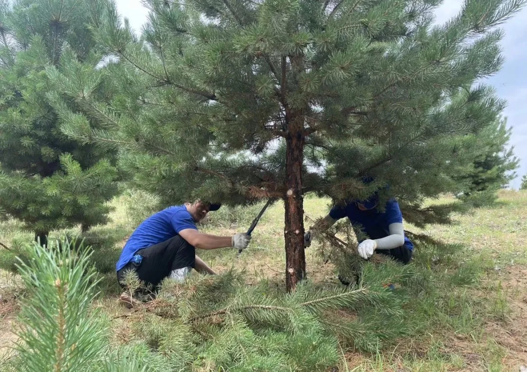 1719801482255823.jpg 640_wx_fmt=jpeg&from=appmsg&tp=webp&wxfrom=5&wx_lazy=1&wx_co=1.webp (13).jpg